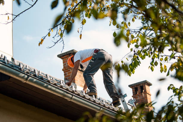 Gutter Installation and Roofing in Oak View, CA